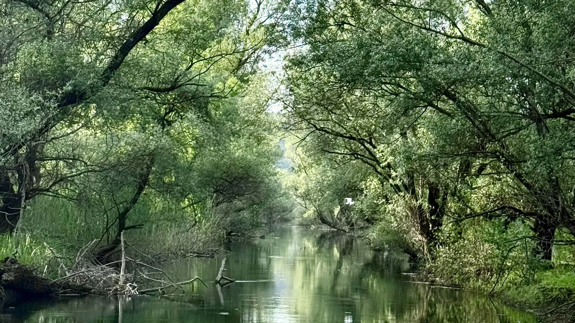 Zdjęcie z wycieczki 8
