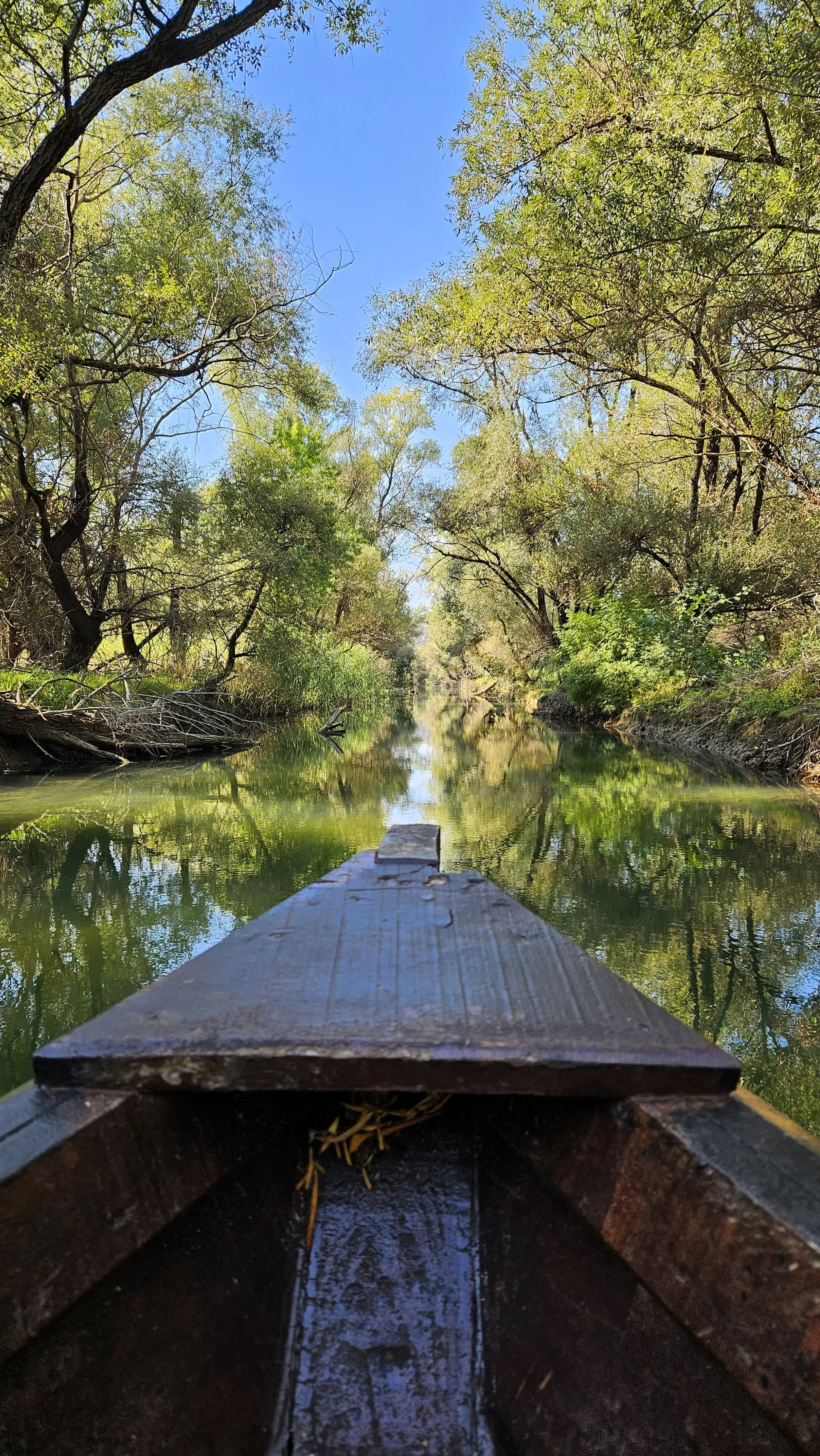 AMAZONIA łodzią motorową